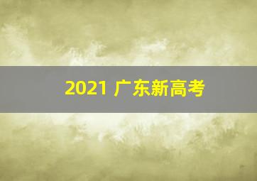 2021 广东新高考